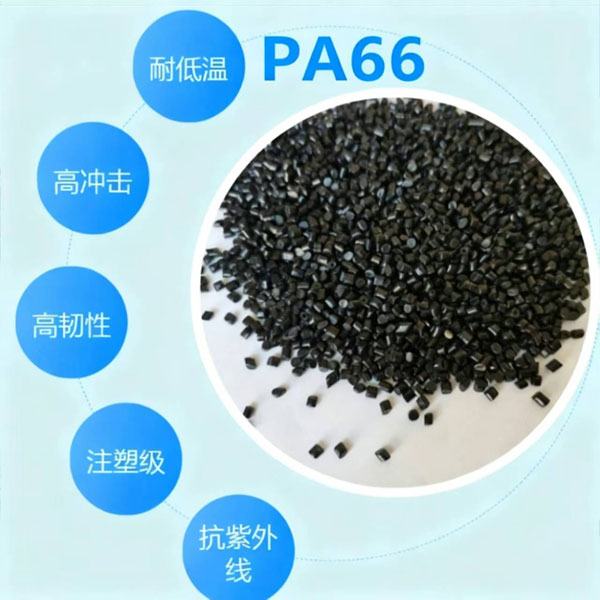 PA66